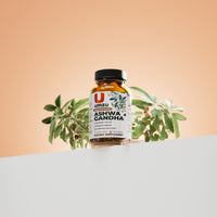Ashwagandha: Stress & Cognitive Support