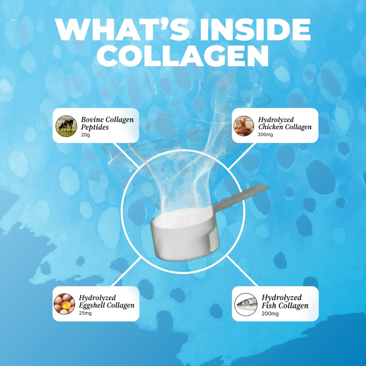 Collagen Protein: Joints, Skin & Muscle Support