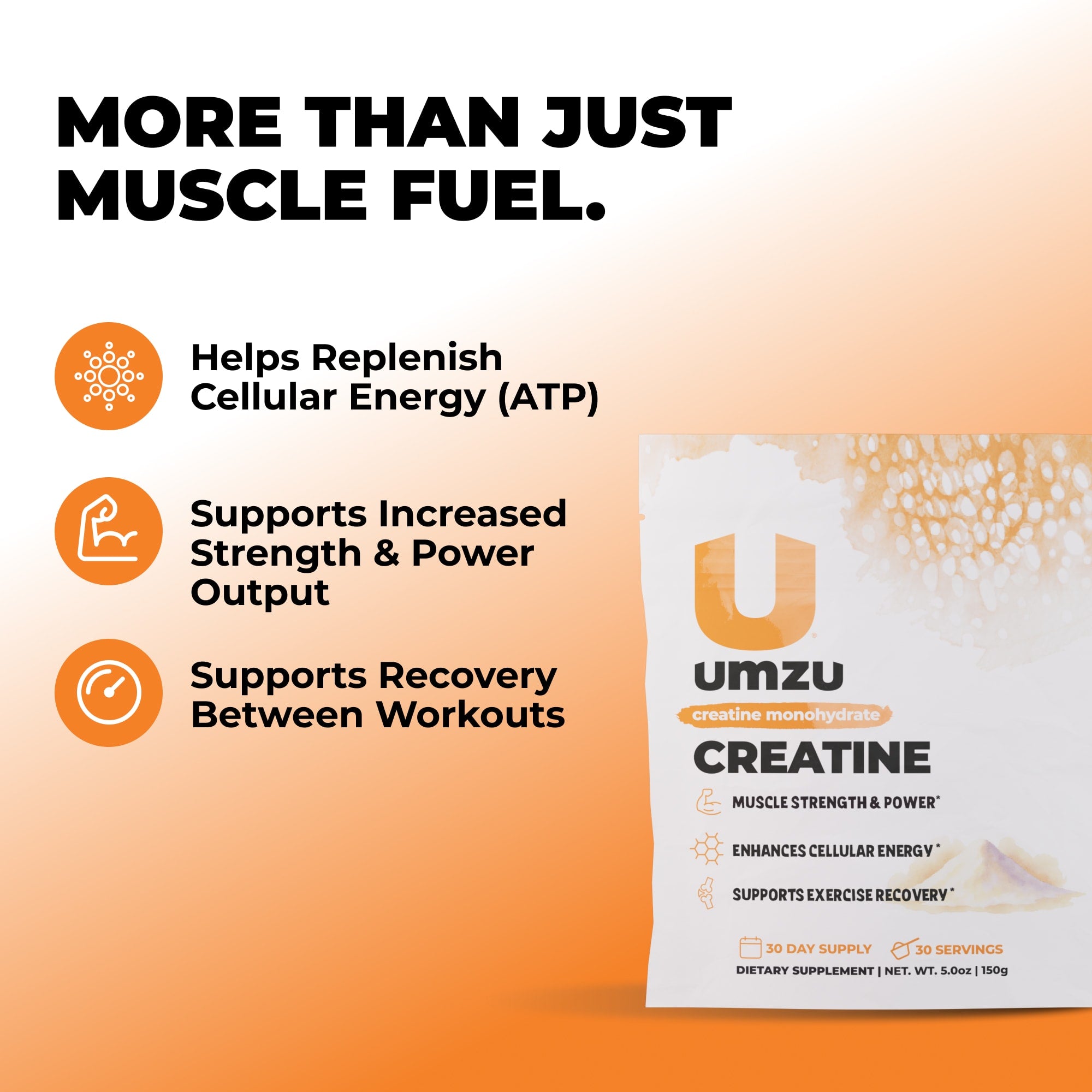 Creatine: 3 Pack Bundle Powder UMZU