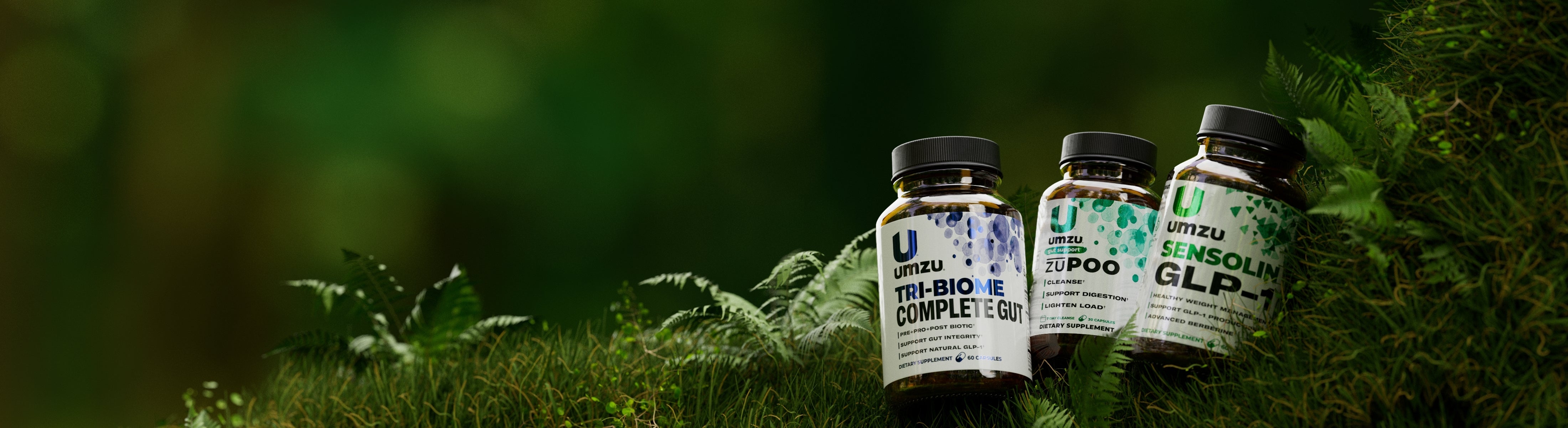 <p>20% Off The </p><p>Digestion Collection</p>