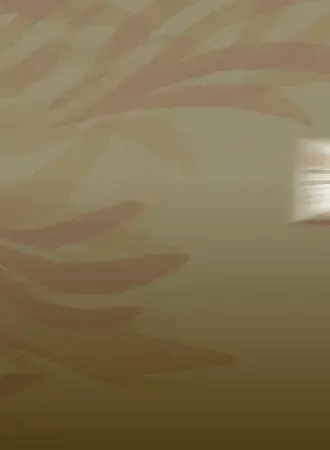 Promotion banner