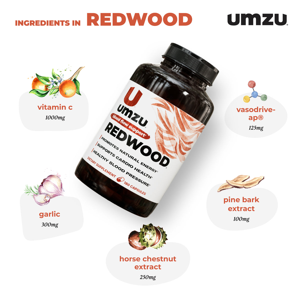 Redwood: FBM Capsule UMZU