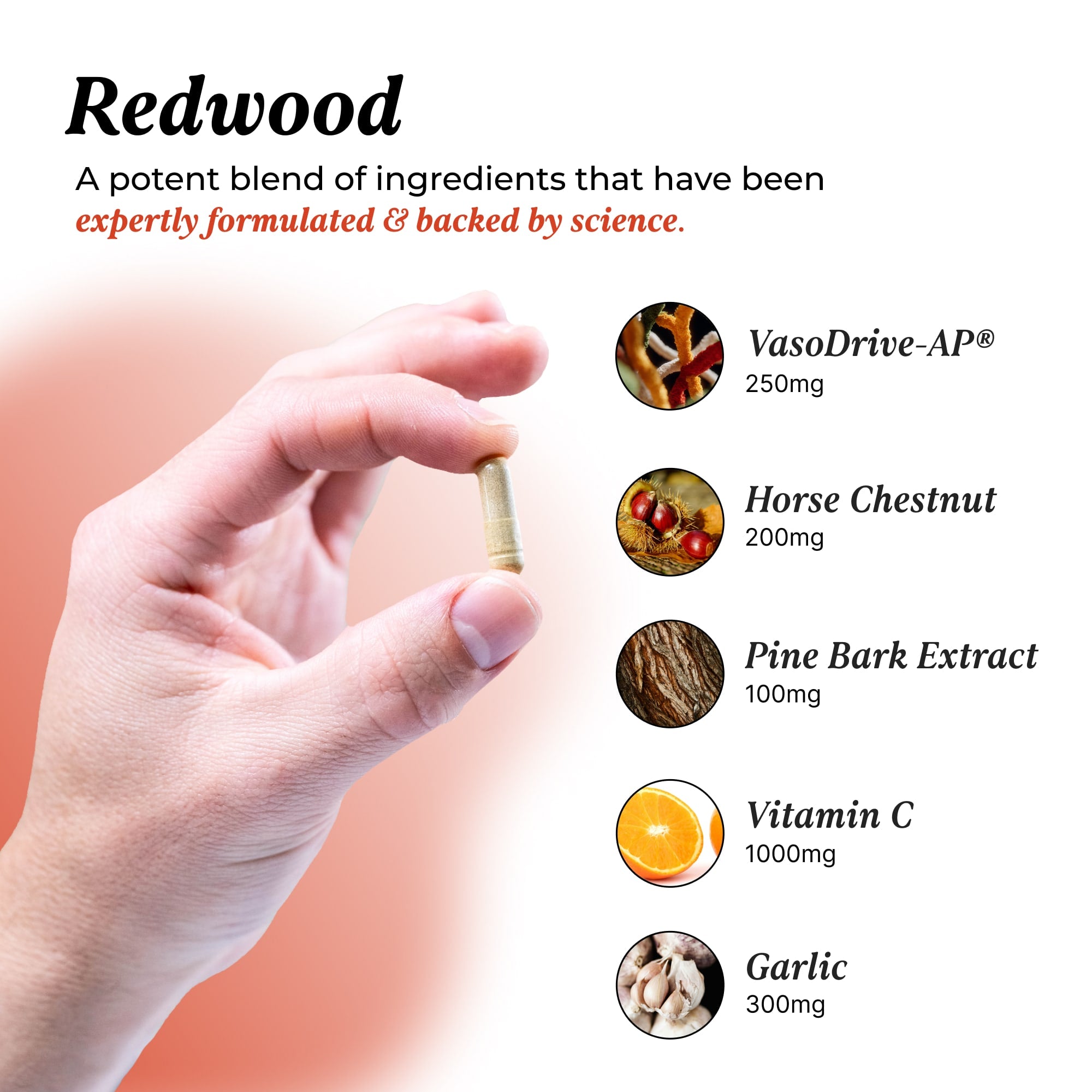 Redwood: 3 Pack FBM Listing Bundles UMZU