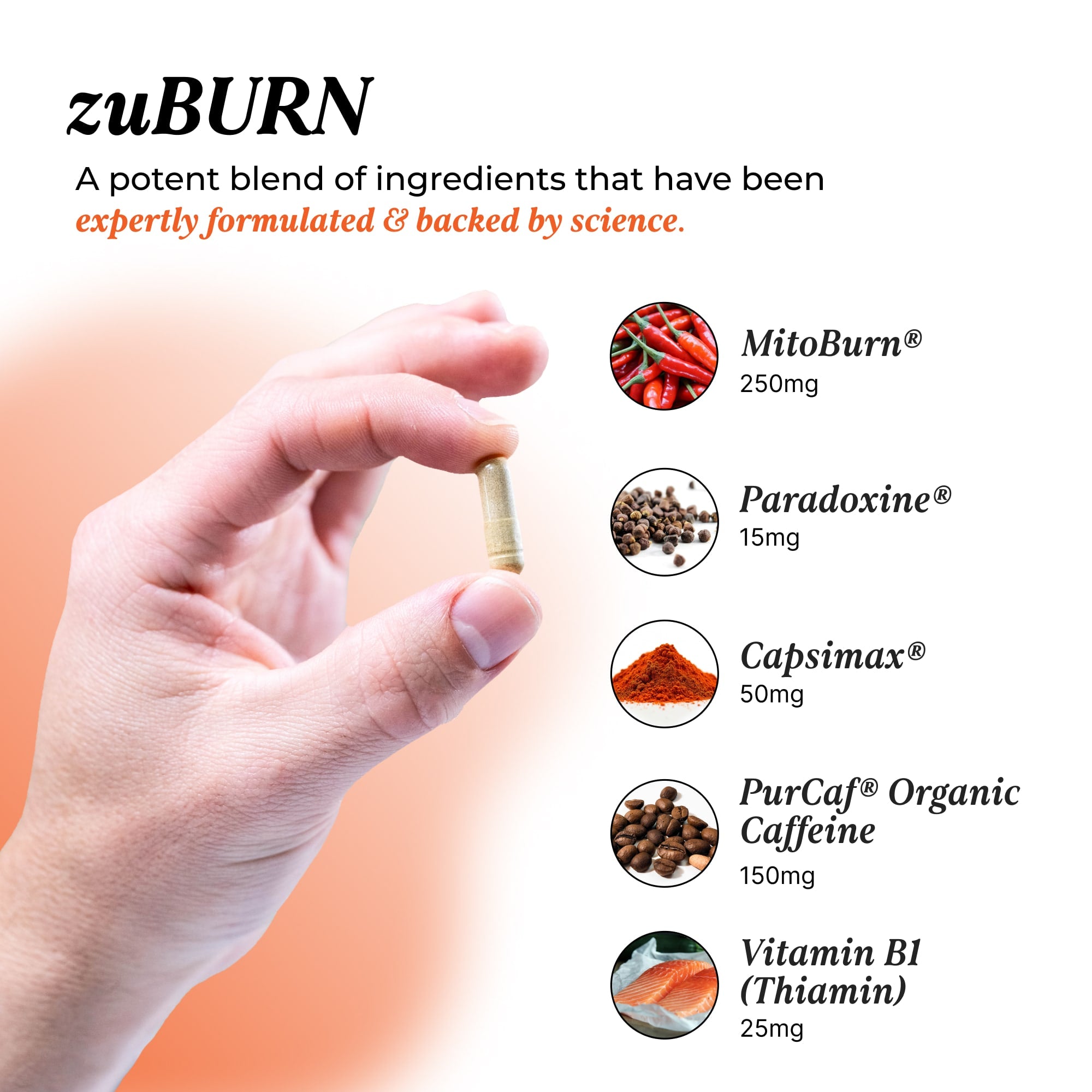 zuBurn: FBM Listing Capsule UMZU